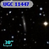 UGC 11447
