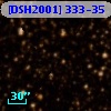 [DSH2001] 333-35