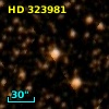 HD 323981