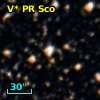 V* PR Sco