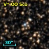 V* OO Sco