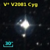 V* V2081 Cyg