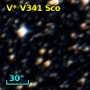 V* V341 Sco