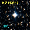 HD 162442
