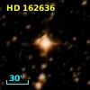HD 162636
