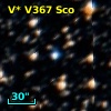 V* V367 Sco