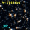 V* V365 Sco