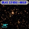 IRAS 17491-4019