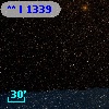 **   I  1339