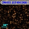2MASS J17491366-3929071