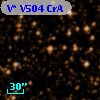 V* V504 CrA