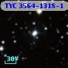 TYC 3564-1318-1
