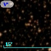 V* V348 CrA