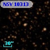 NSV 10313