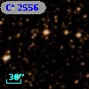 C* 2556