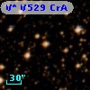 V* V529 CrA