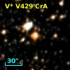 V* V429 CrA
