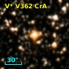 V* V362 CrA
