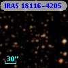 IRAS 18116-4205