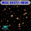 IRAS 18172-4016