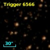 Trigger  6566