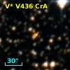 V* V436 CrA