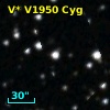 V* V1950 Cyg