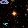 HD 170981