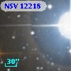 NSV 12218