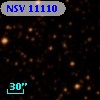 NSV 11110