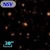 NSV 11191