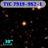 TYC 7919-982-1