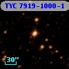 TYC 7919-1000-1