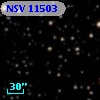 NSV 11503