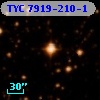 TYC 7919-210-1
