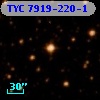 TYC 7919-220-1