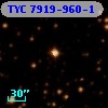 TYC 7919-960-1
