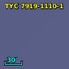 TYC 7919-1110-1
