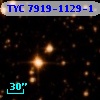 TYC 7919-1129-1
