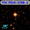 TYC 7919-1280-1