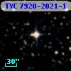 TYC 7920-2021-1