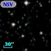 NSV 11562