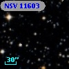 NSV 11603
