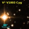 V* V1003 Cyg