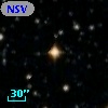 NSV 11721