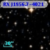 RX J1856.7-4021
