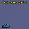 TYC 7436-1021-1
