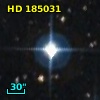 HD 185031