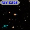 NSV 12309