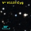 V* V1137 Cyg